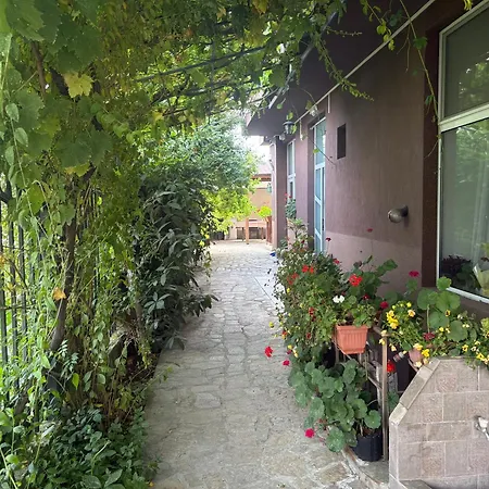 Miraj-md بريمورسكو